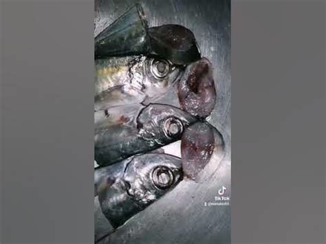 gutob isda